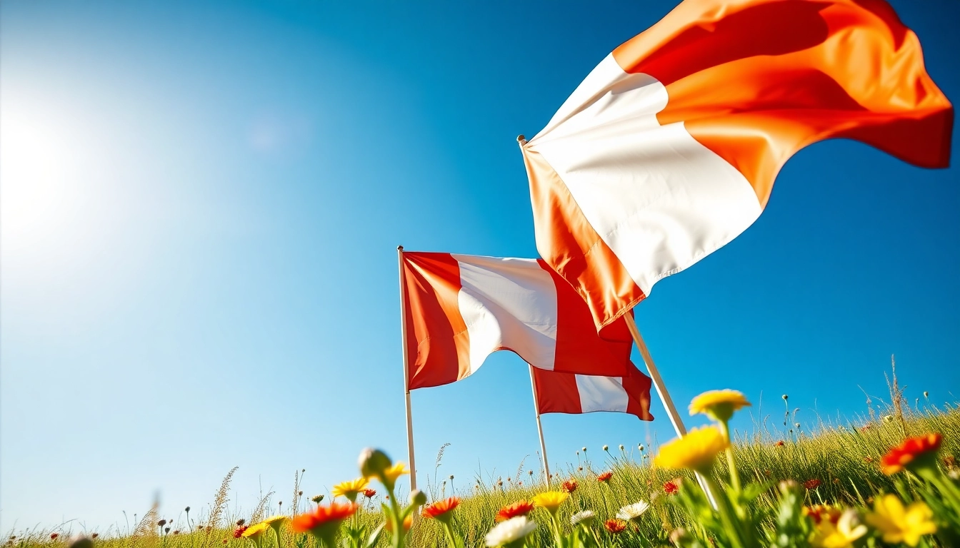 Celebrate with custom flags ireland beautifully displayed in a vibrant field under a clear blue sky.